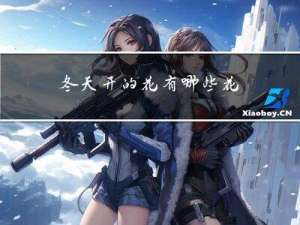 冬天开的花有哪些花