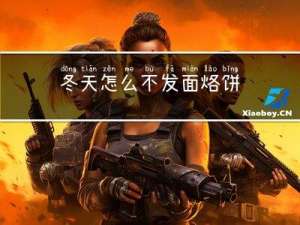 冬天怎么不发面烙饼