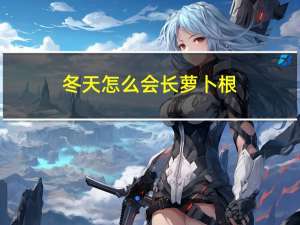 冬天怎么会长萝卜根