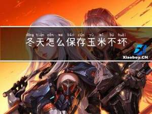 冬天怎么保存玉米不坏