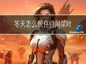 冬天怎么保存豆角菜叶