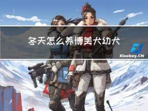 冬天怎么养博美犬幼犬