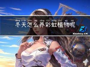 冬天怎么养彩虹植物呢