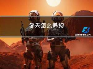 冬天怎么养狗