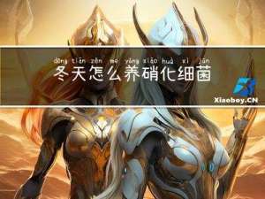 冬天怎么养硝化细菌