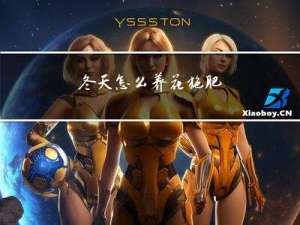 冬天怎么养花施肥