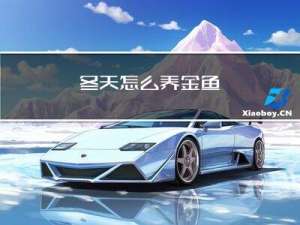 冬天怎么养金鱼