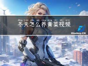 冬天怎么养青菜视频
