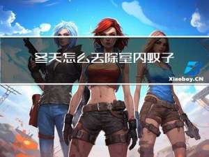 冬天怎么去除室内蚊子虫