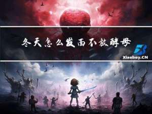 冬天怎么发面不放酵母