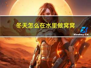 冬天怎么在水里做窝窝