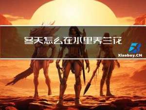 冬天怎么在水里养兰花