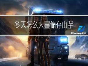 冬天怎么大量储存山芋呢