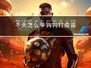 冬天怎么带狗狗打疫苗