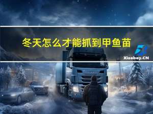 冬天怎么才能抓到甲鱼苗