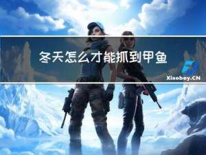 冬天怎么才能抓到甲鱼