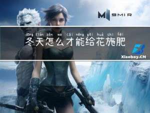 冬天怎么才能给花施肥