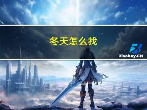 冬天怎么找