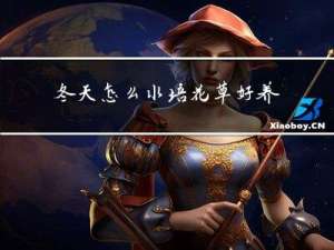 冬天怎么水培花草好养