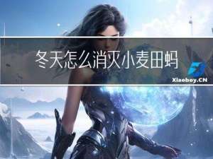 冬天怎么消灭小麦田蚂蚁