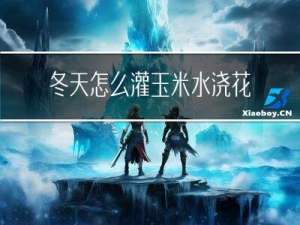 冬天怎么灌玉米水浇花