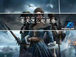 冬天怎么电黑鱼