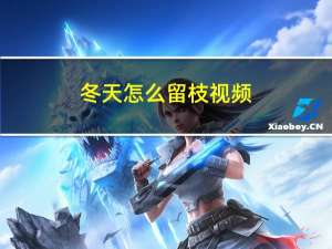 冬天怎么留枝视频