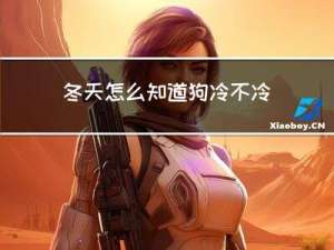 冬天怎么知道狗冷不冷