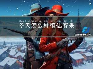 冬天怎么种植仙客来