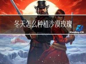 冬天怎么种植沙漠玫瑰