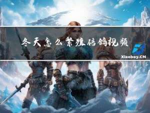 冬天怎么繁殖信鸽视频