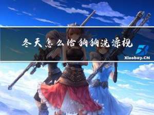 冬天怎么给狗狗洗澡视频