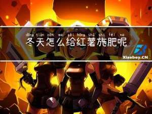 冬天怎么给红薯施肥呢