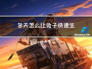 冬天怎么让兔子快速生蛋