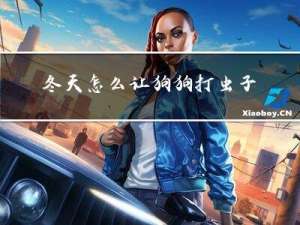 冬天怎么让狗狗打虫子