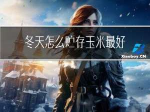 冬天怎么贮存玉米最好