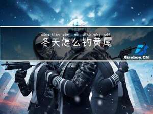 冬天怎么钓黄尾