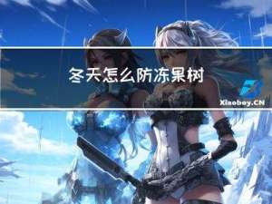 冬天怎么防冻果树