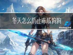 冬天怎么防止冻成狗狗