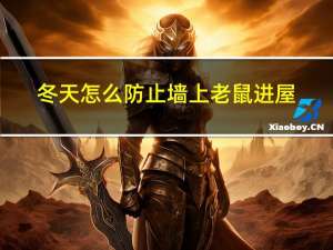 冬天怎么防止墙上老鼠进屋