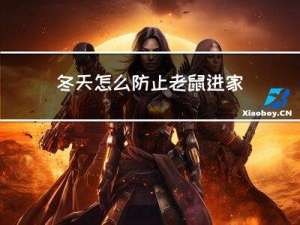 冬天怎么防止老鼠进家里