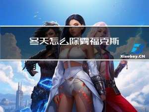 冬天怎么除雾福克斯
