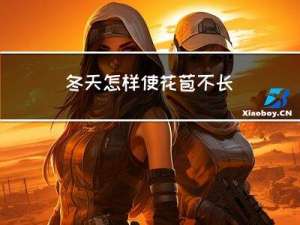 冬天怎样使花苞不长