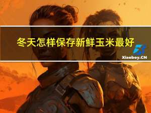 冬天怎样保存新鲜玉米最好