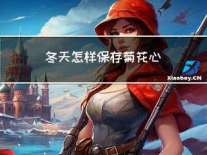 冬天怎样保存菊花心