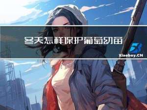 冬天怎样保护葡萄幼苗视频