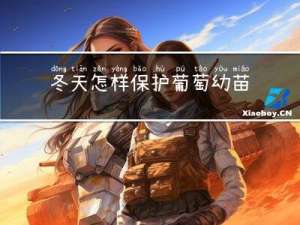 冬天怎样保护葡萄幼苗