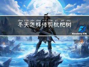 冬天怎样修剪枇杷树