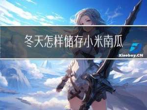 冬天怎样储存小米南瓜