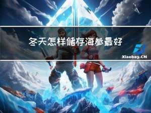 冬天怎样储存海参最好